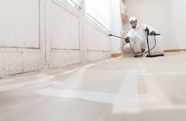 24/7 Emergency Mold Cleanup experts in Westchester, IL